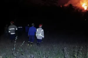 Kawasan Gunung Geulis Sukabumi Kebakaran