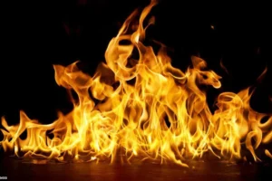 Lahan Kosong di Kebon Jeruk Kebakaran, Diduga gegara Bocah Bakar Sampah