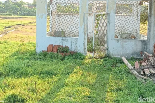 Terjawab Sudah Misteri Arca Semar di Cirebon: Ternyata Ini Fakta Sebenarnya di Balik Batu Bernilai Mistis