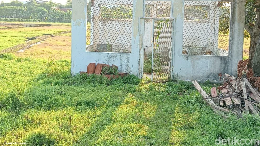 Terjawab Sudah Misteri Arca Semar di Cirebon: Ternyata Ini Fakta Sebenarnya di Balik Batu Bernilai Mistis