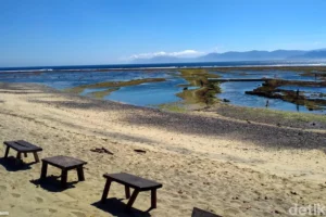 Turis Cantik Asal Italia Jadi Korban Pelecehan Seksual di Pantai Lakey Dompu, Pelaku Mabuk Berhasil Diringkus Polisi